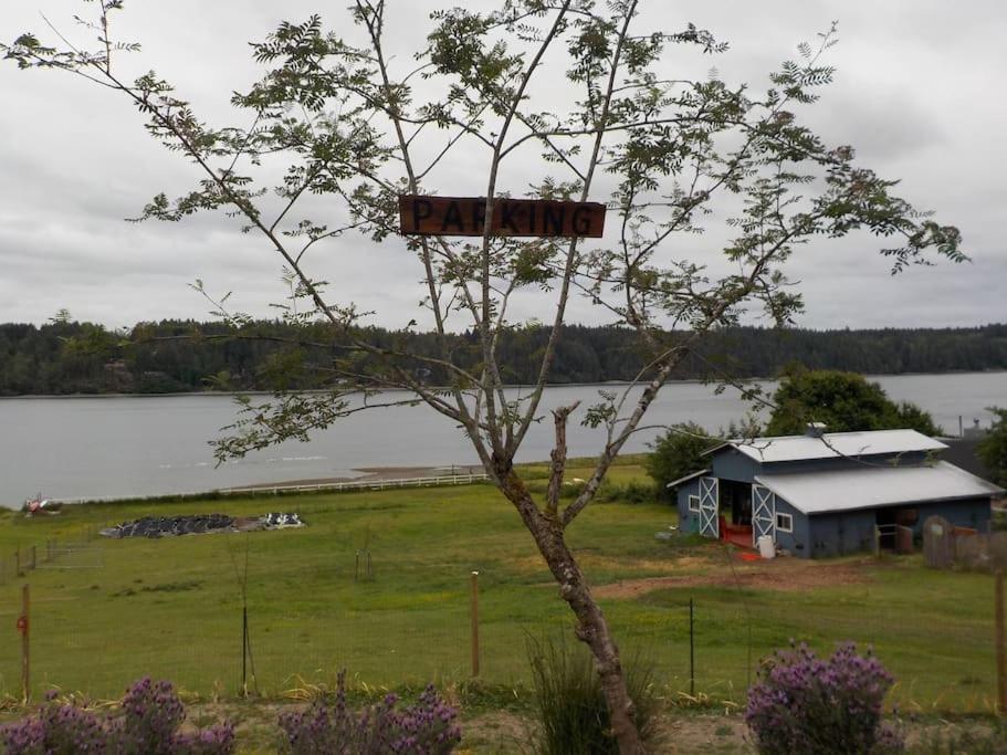 Holiday home Oceanfront Studio/loft: Alpacas, Oysters & Kayaks *