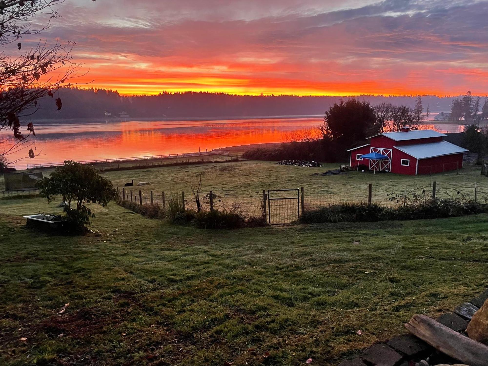 Oceanfront Studio/loft: Alpacas, Oysters & Kayaks * Shelton