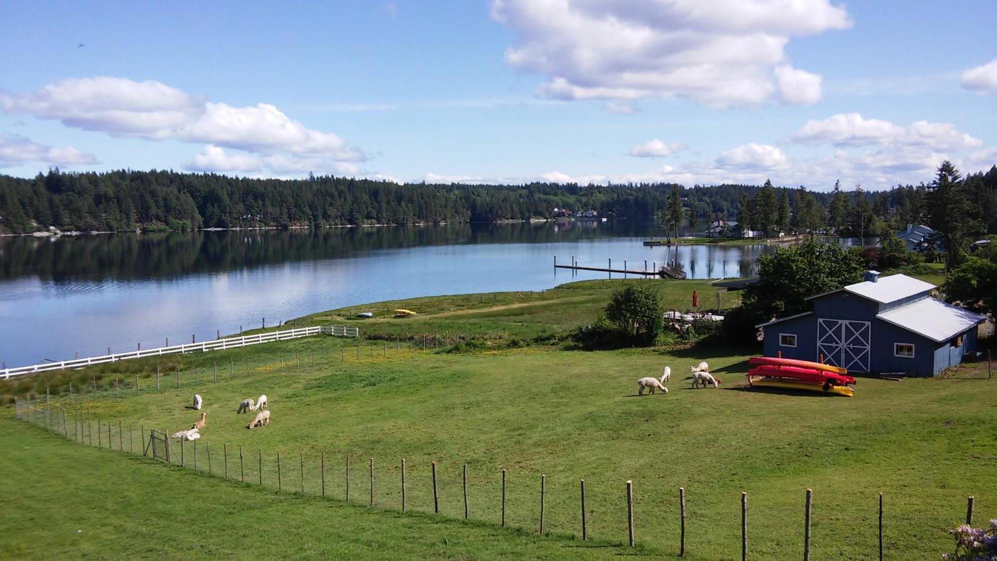 Oceanfront Studio/loft: Alpacas, Oysters & Kayaks Hébergement de vacances Shelton